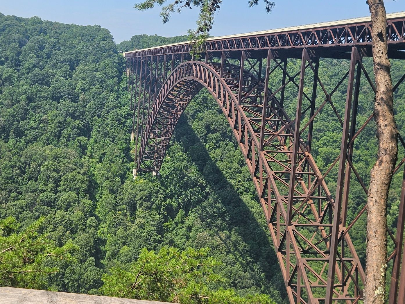 20250724_113041.jpg