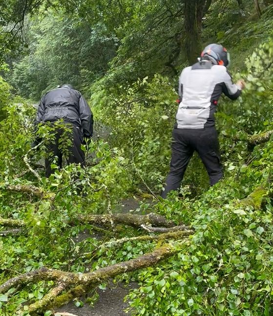 2026-04-13 11_17_23-Media Player.jpg